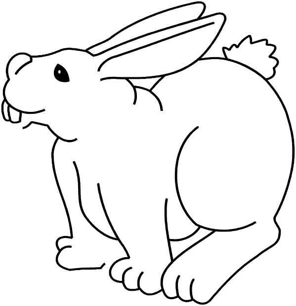 bunny.gif (11556 bytes)