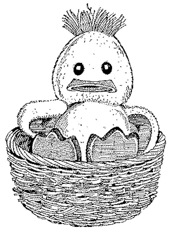 chickinbasket.gif (47104 bytes)