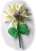 flower.gif (15614 bytes)